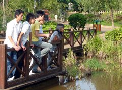 Junge Chinesen beobachten Enten im Park