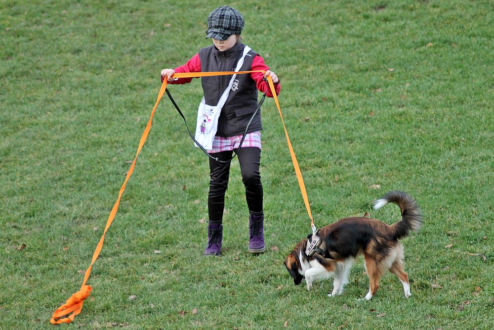 Junge Dame mit Hund