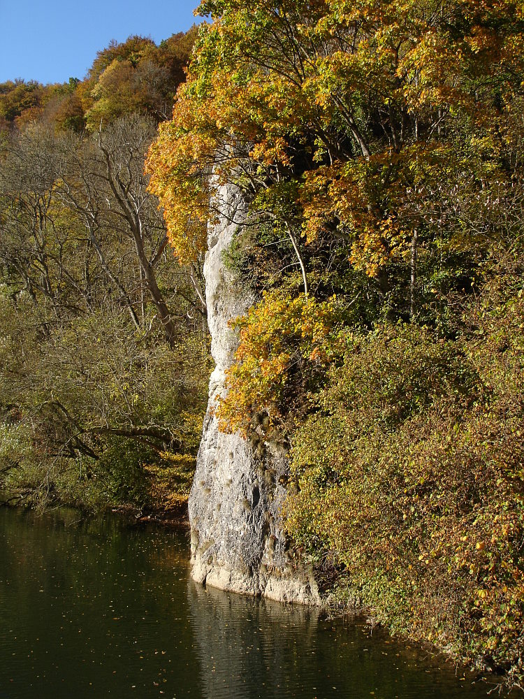 Junge Donau im Herbst