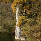 Junge Donau im Herbst