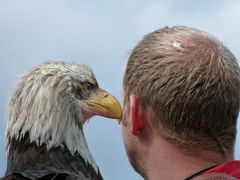 Junge, du hast da was im Haar .......