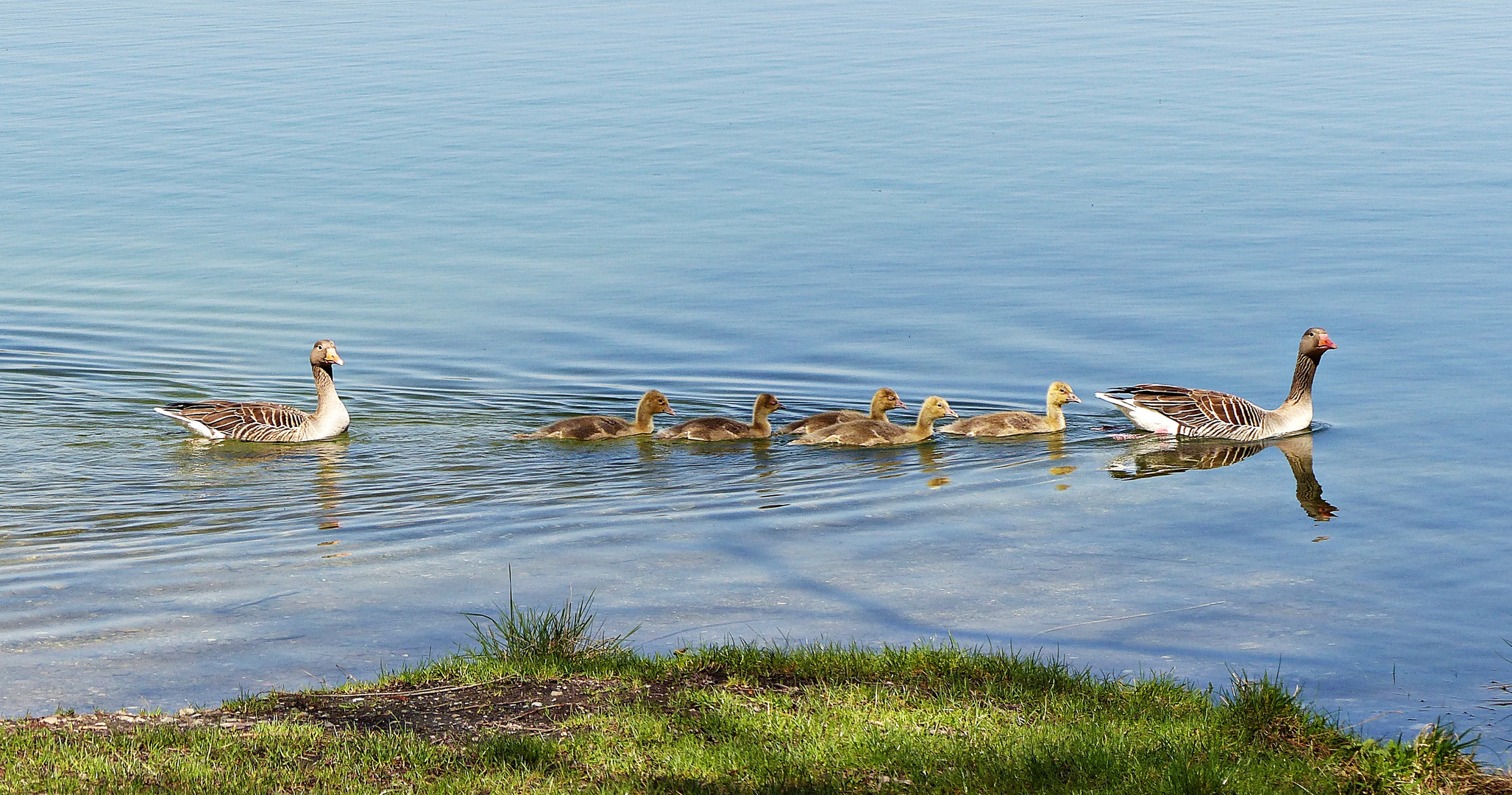 Junge Familie