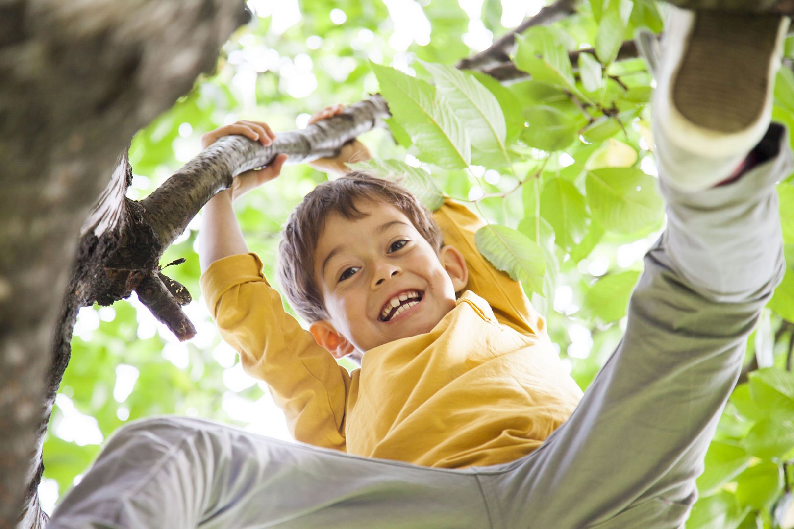 Junge im Baum