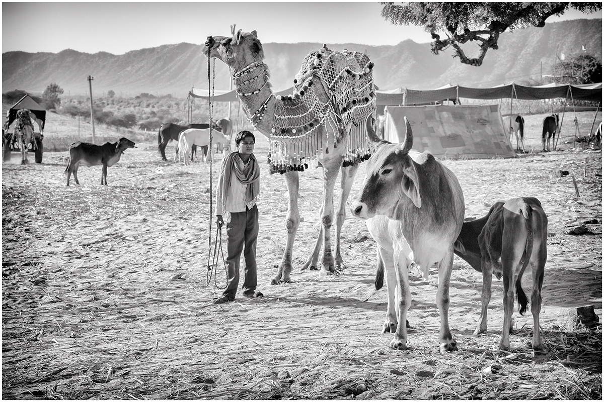 Junge in Pushkar