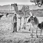 Junge in Pushkar