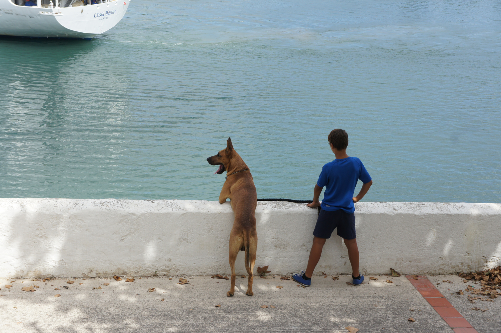 Junge mit Hund