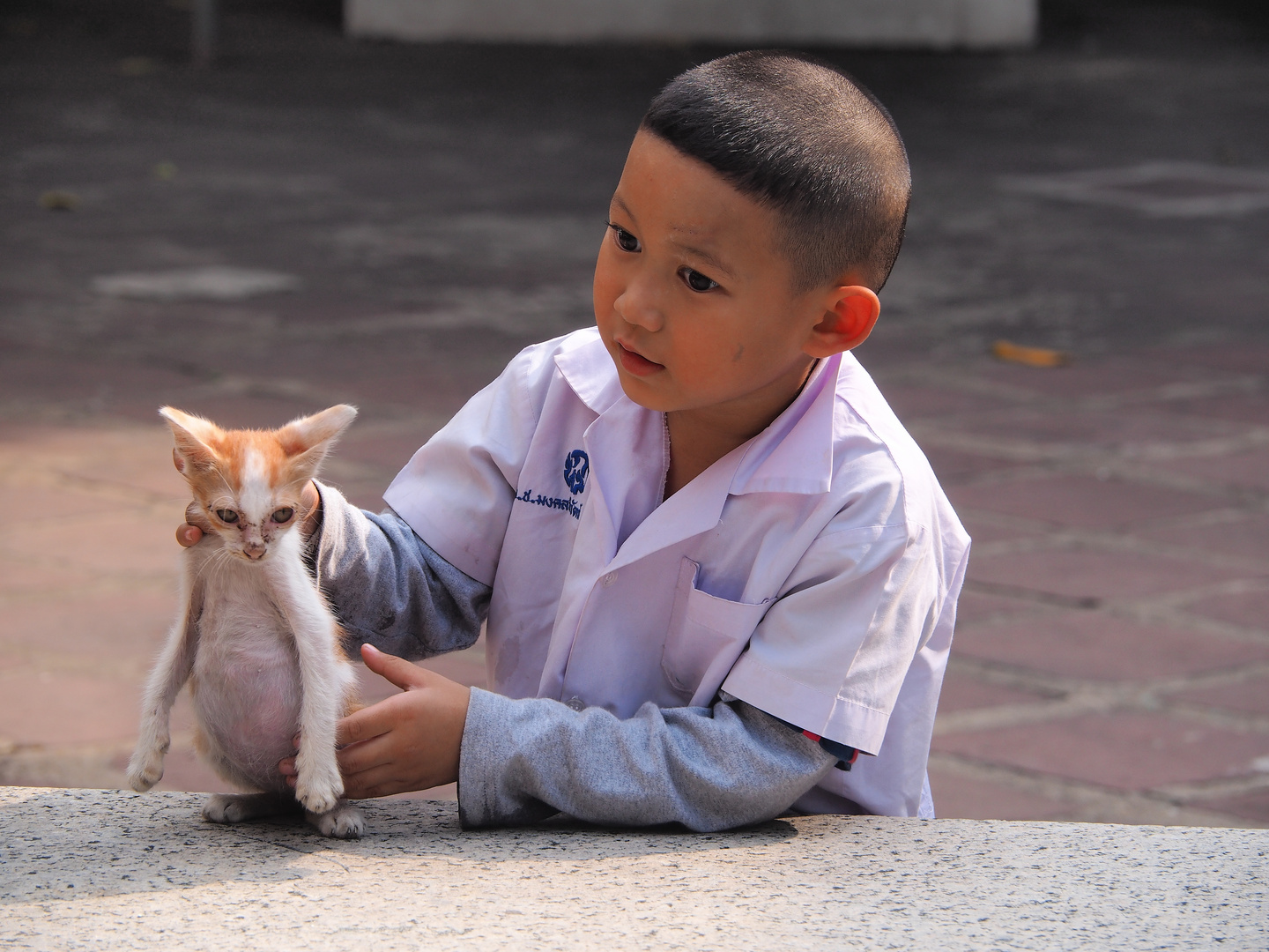 Junge mit Katze