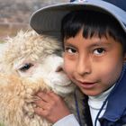 Junge mit Lama in Cusco, Peru