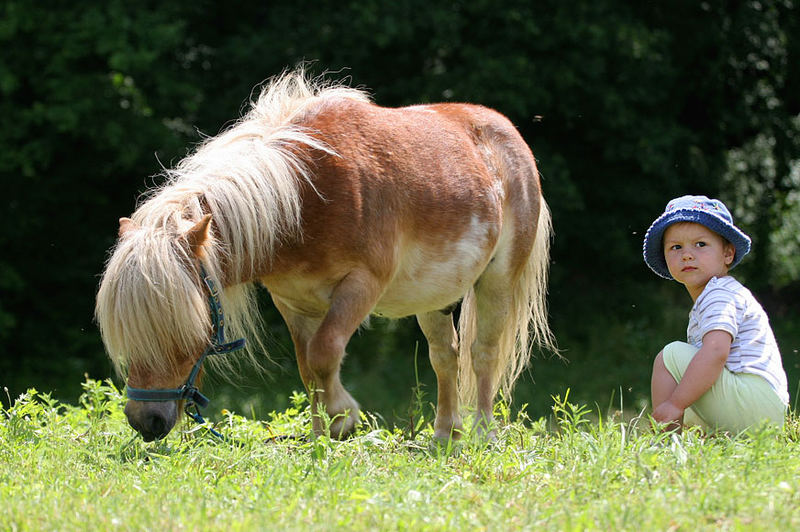 Junge mit Pony