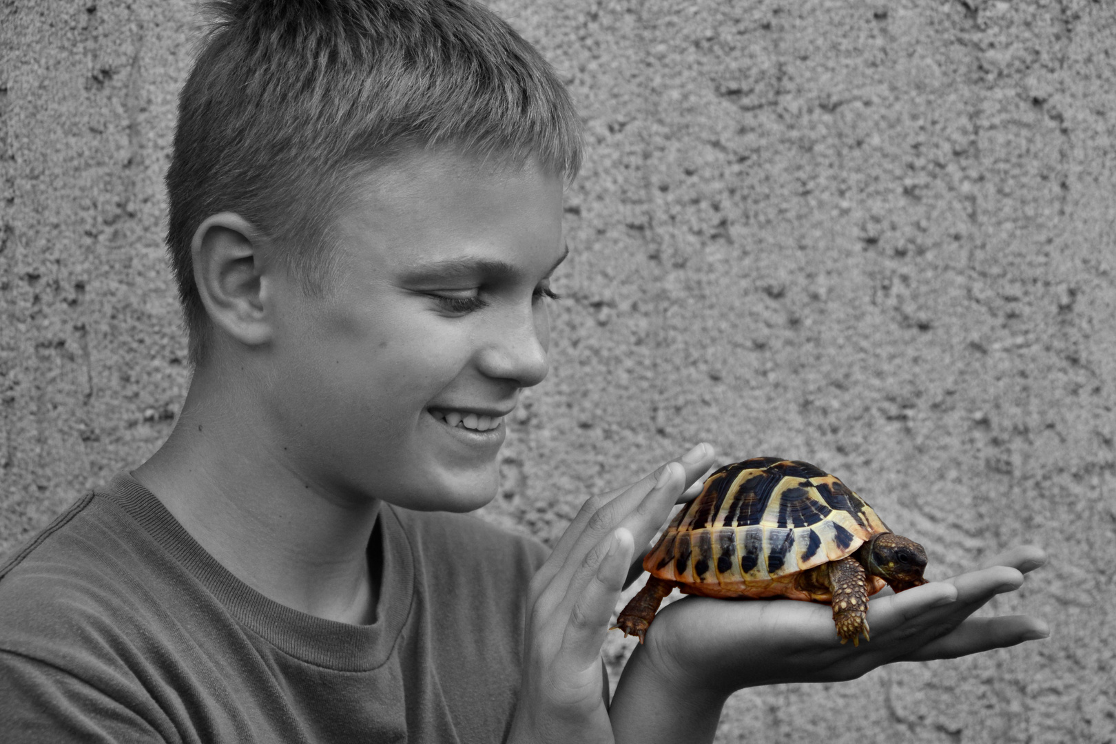 Junge mit Schildkröte