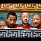 Junge Mönche im Punaka-Dzong
