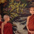 junge Mönche in Burma
