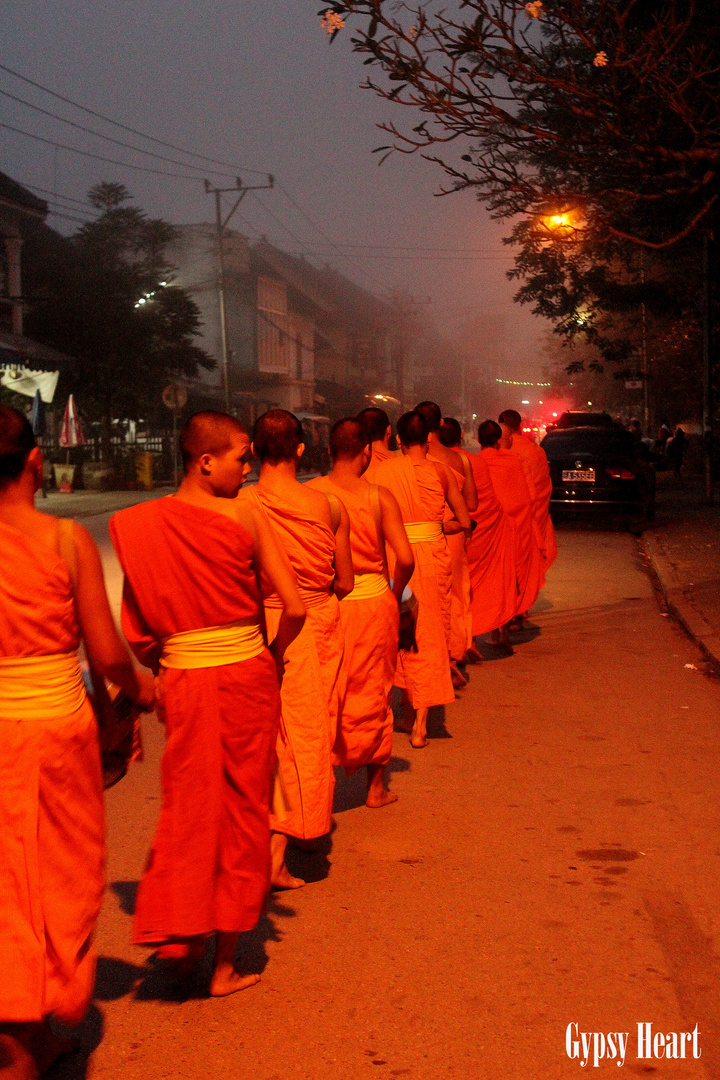 junge Mönche in Luang Prabang