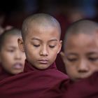 junge Mönche in Myanmar