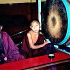 Junge Mönche in Nepal