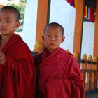 Junge Mönche in Punakha