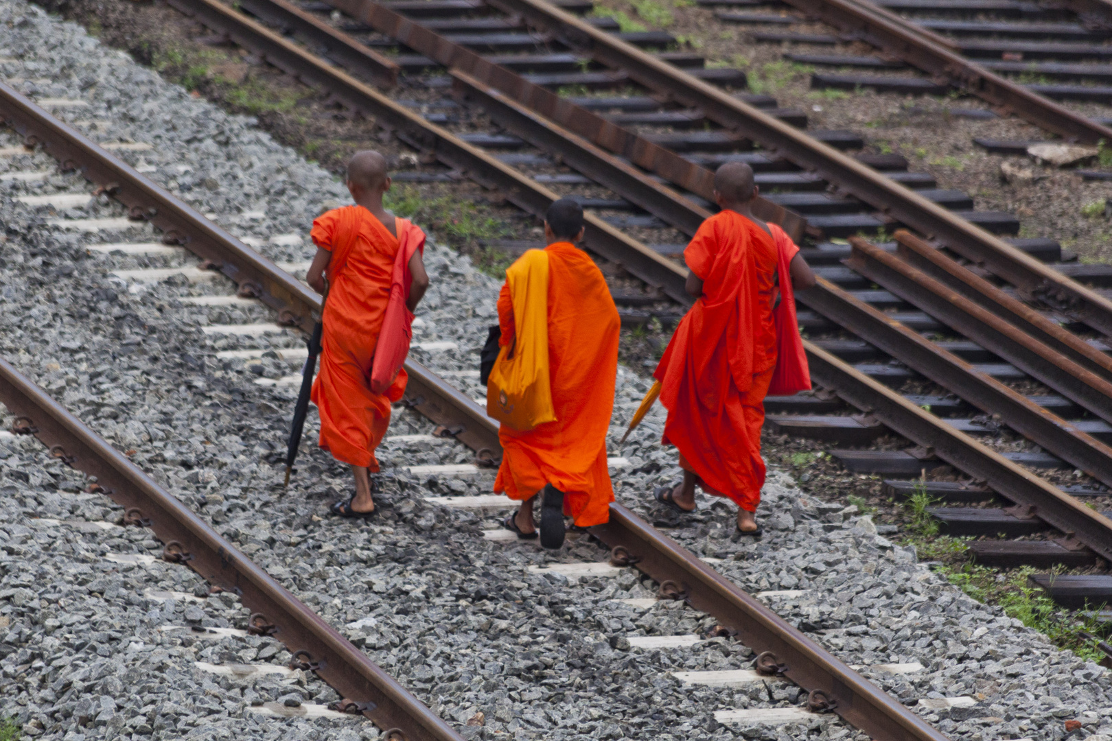 Junge Mönche in Sri Lanka