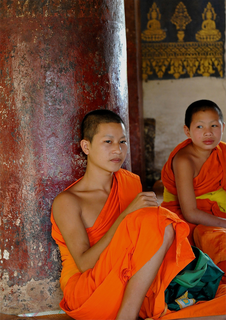 Junge Novizen in LuangPrabang