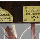 Junge Nymphomanin zum mitreisen gesucht!