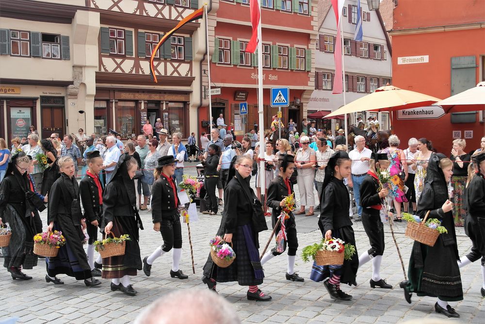 Junge Siebenbürgener bei der Kinderzeche Dinkelsbühl 2016. 