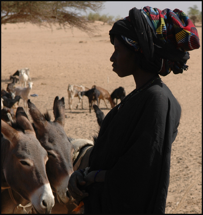 junge Tuareg mit Eseln