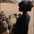 junge Tuareg mit Eseln