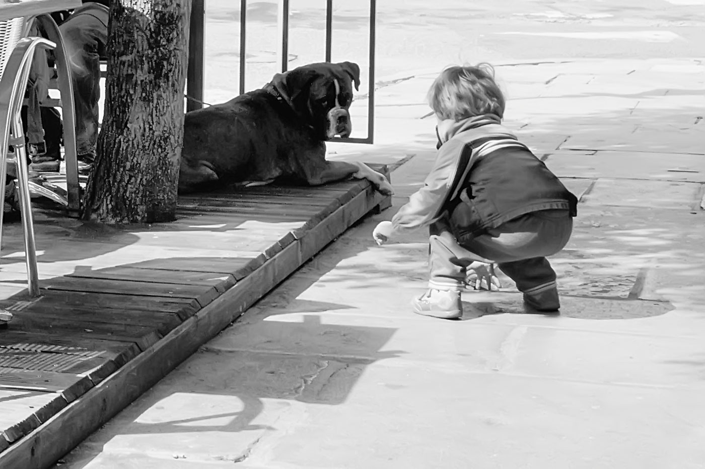 Junge und Hund