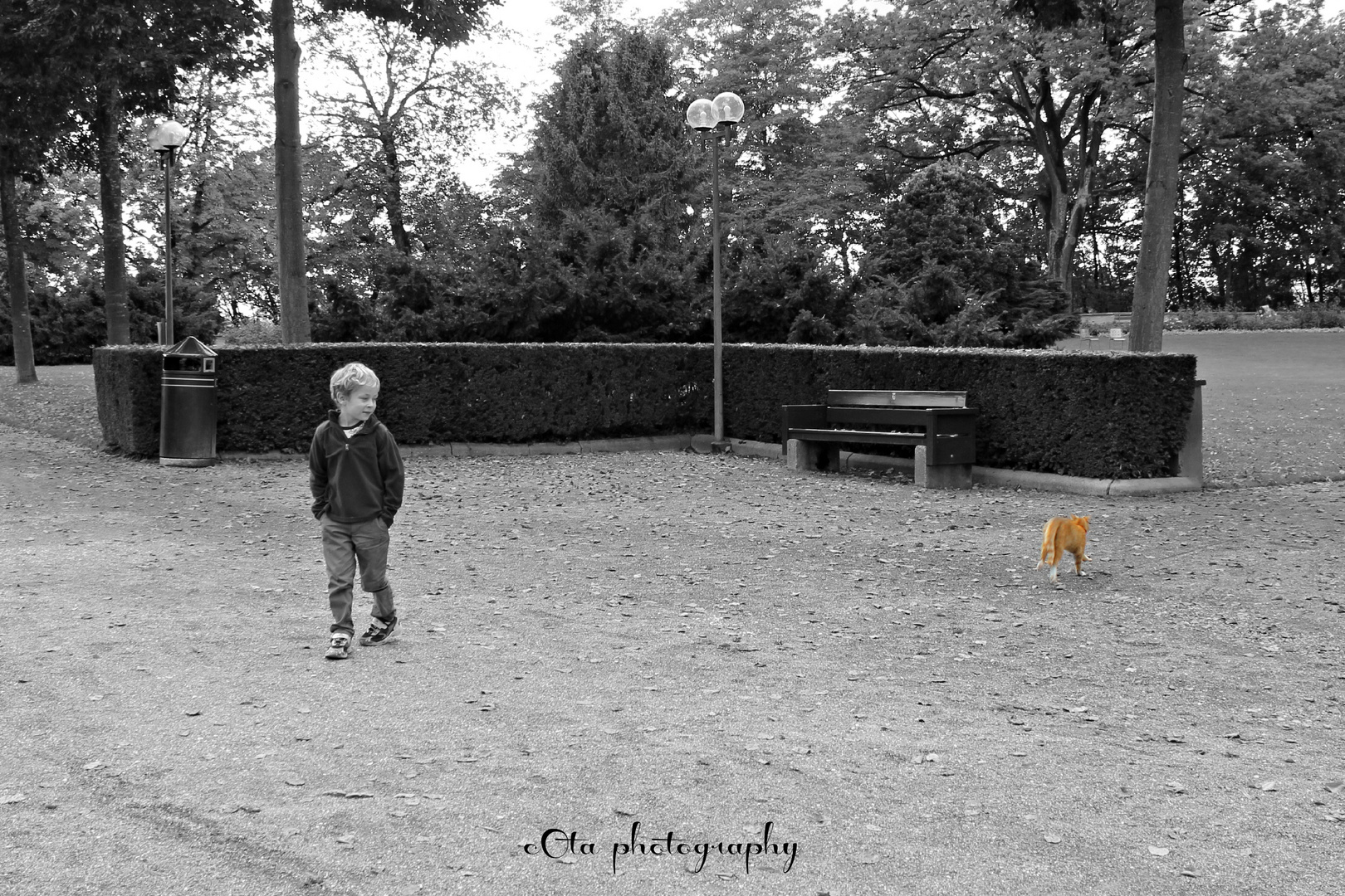 junge und katze im park