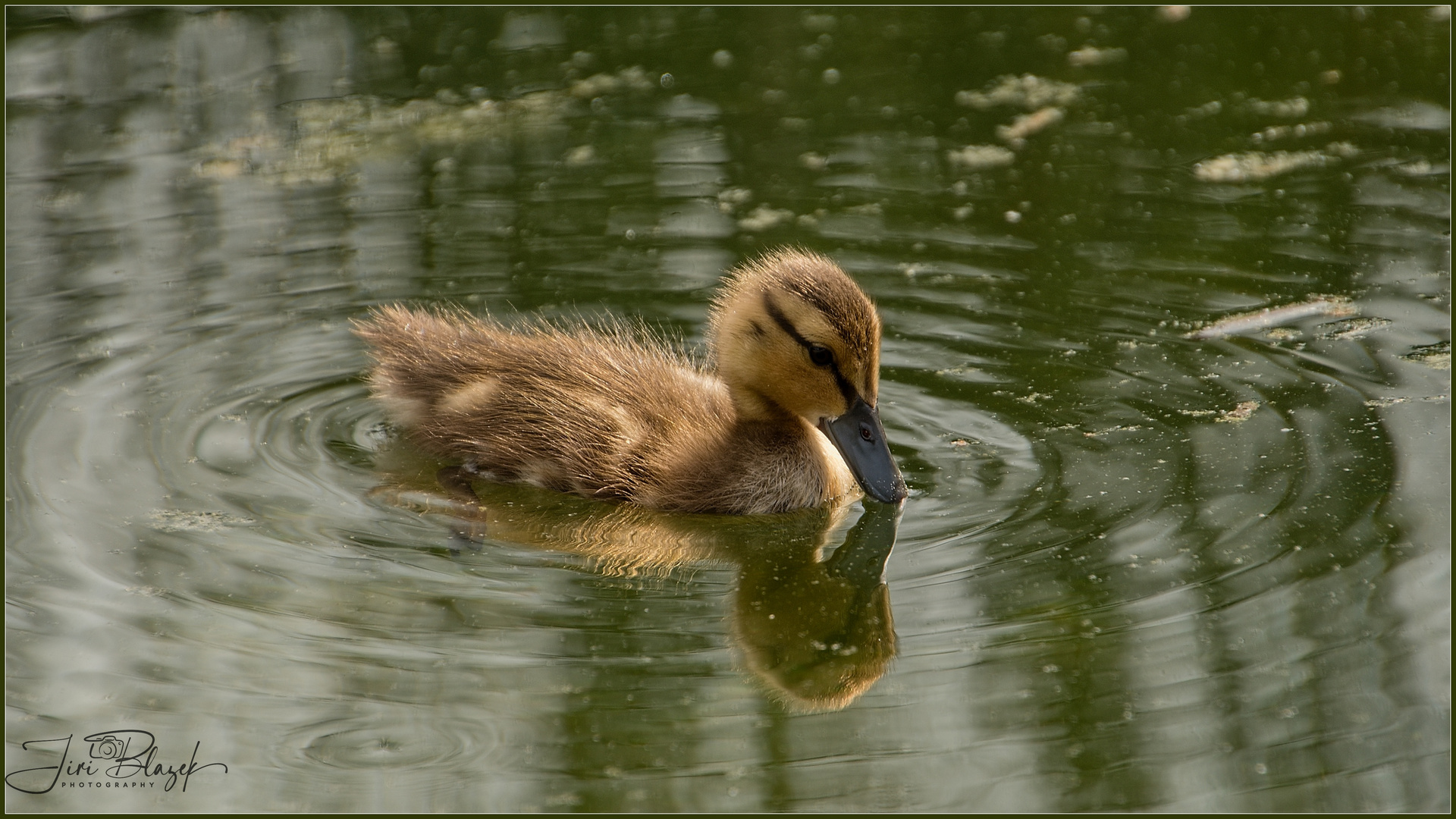 junge und mit  Mama