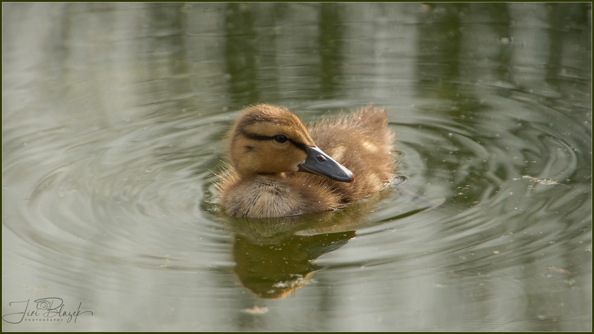 junge und mit  Mama