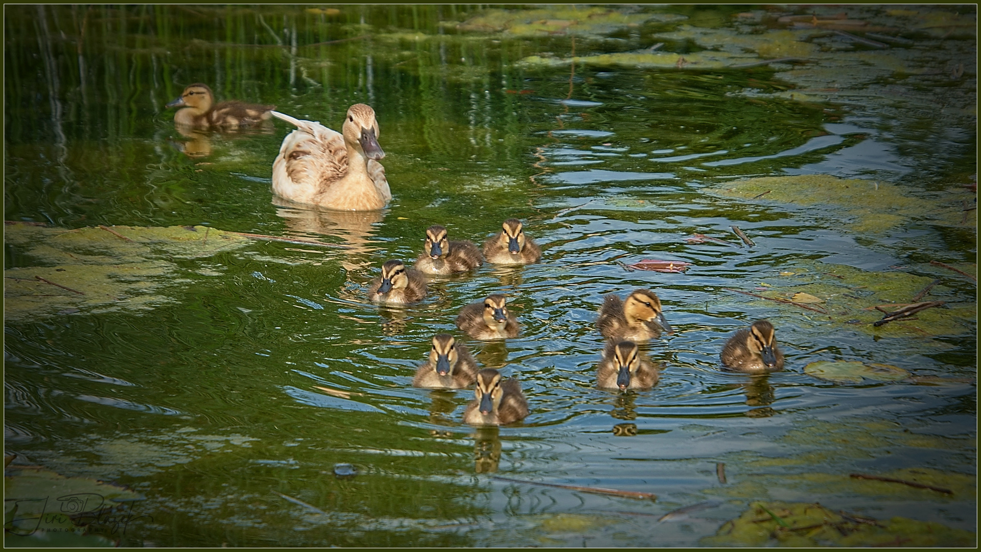 junge und mit  Mama