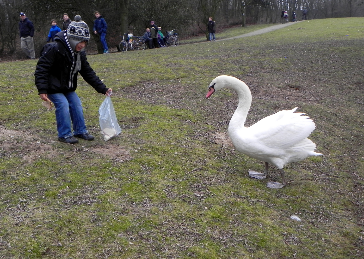 Junge und Schwan