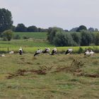 Jungendliche Zugversammlung (DOKU)