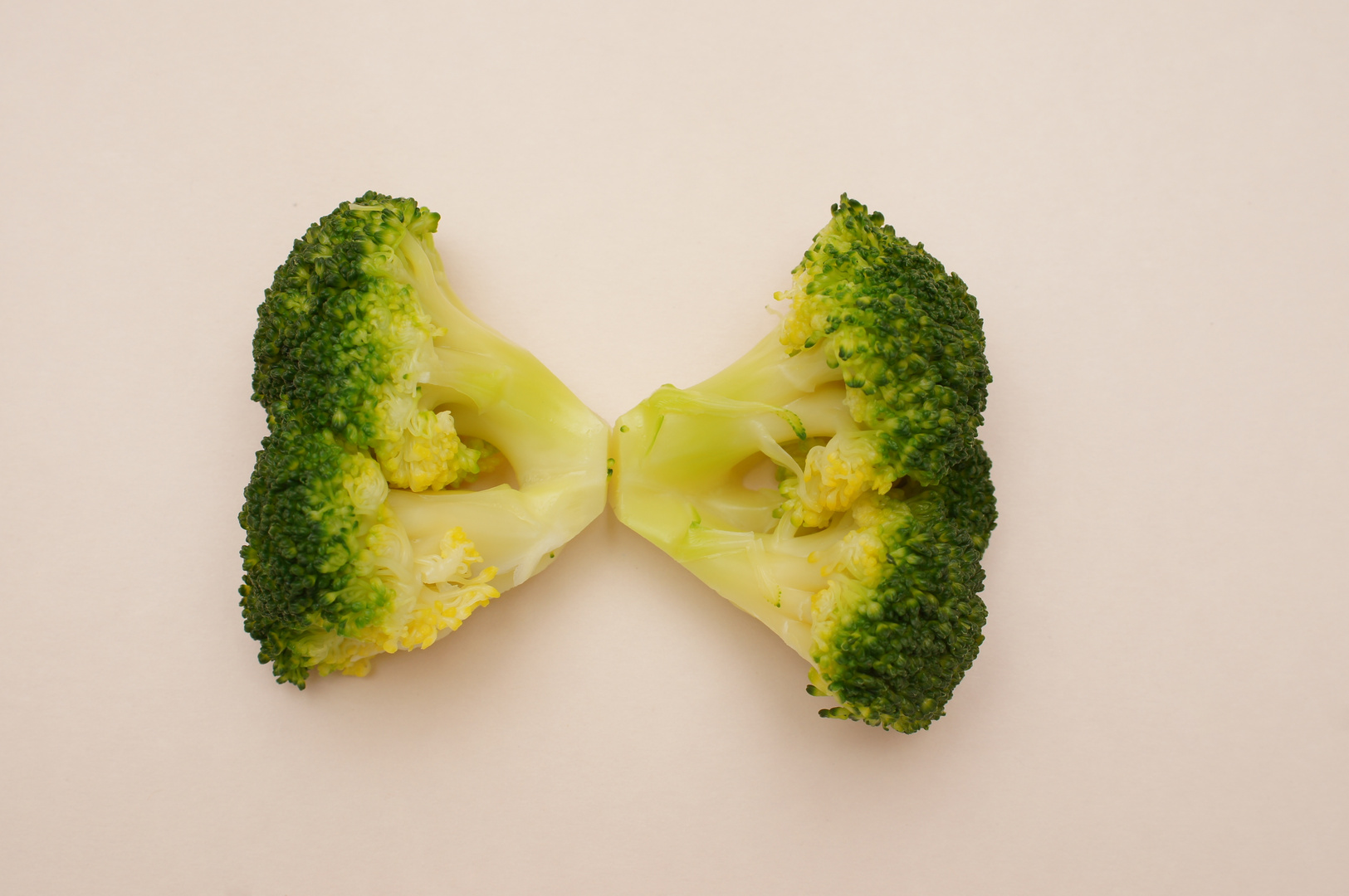 Junger Broccoli