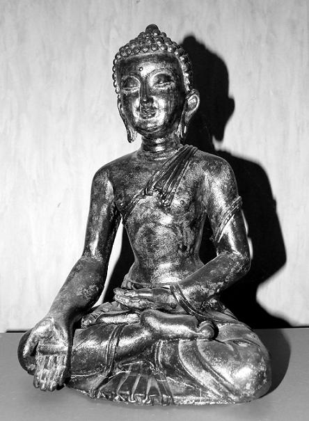 Junger Buddha