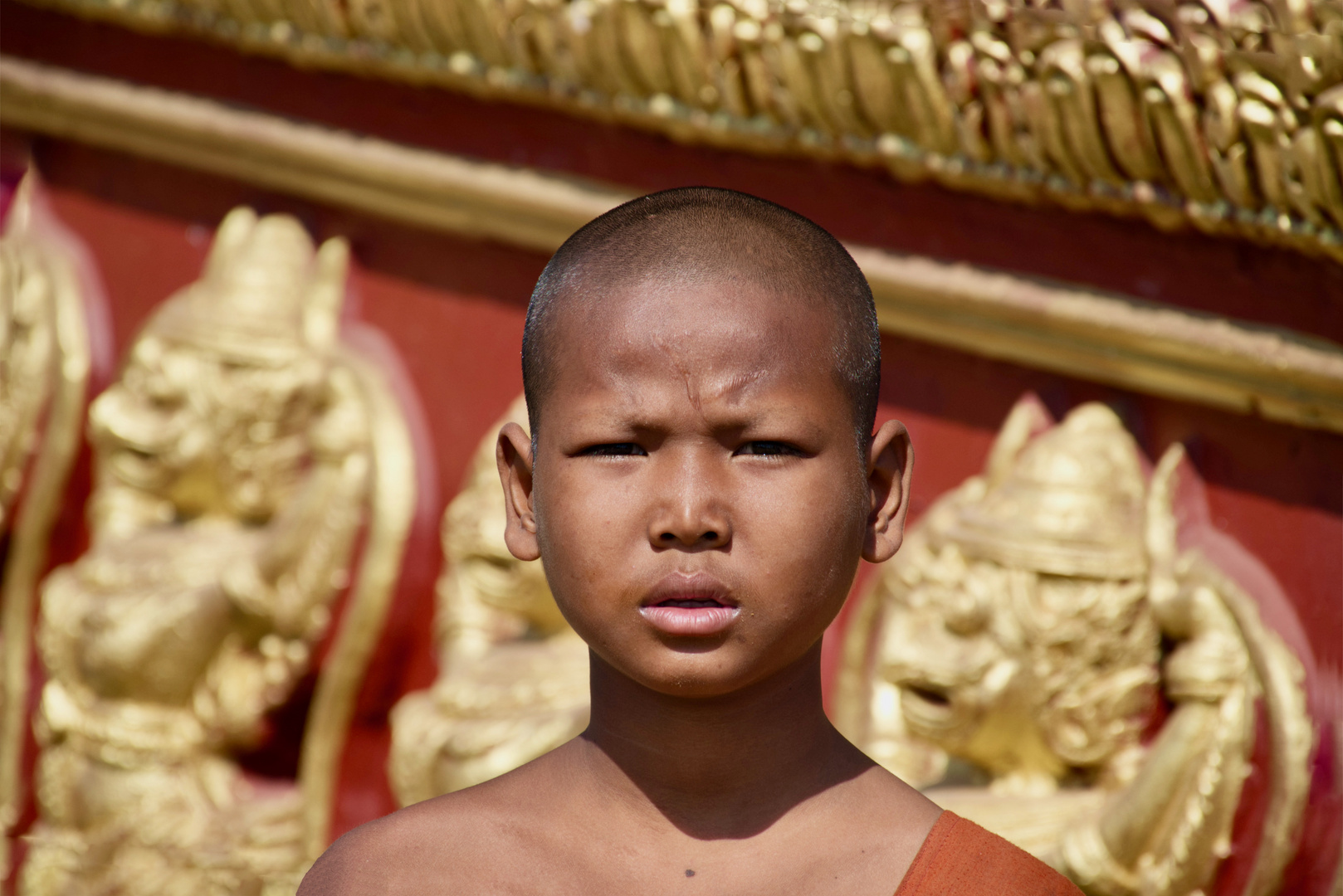 junger buddhistischer Mönch