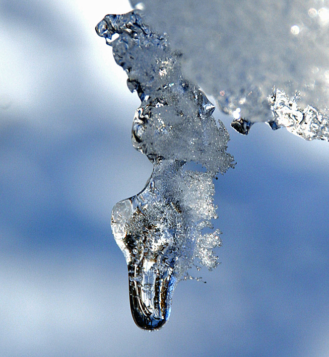 Junger Eiszapfen