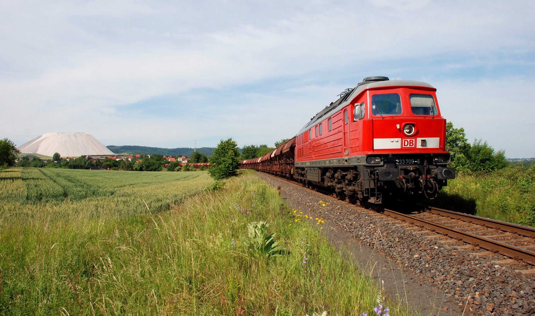 "Junger Hüpfer" im Land der weißen Berge