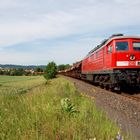 "Junger Hüpfer" im Land der weißen Berge