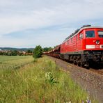 "Junger Hüpfer" im Land der weißen Berge