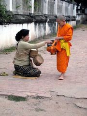 Junger Mönch bei der Alms Giving Ceremony in Luang Prabang