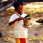 junger Tempeldiener auf Bali