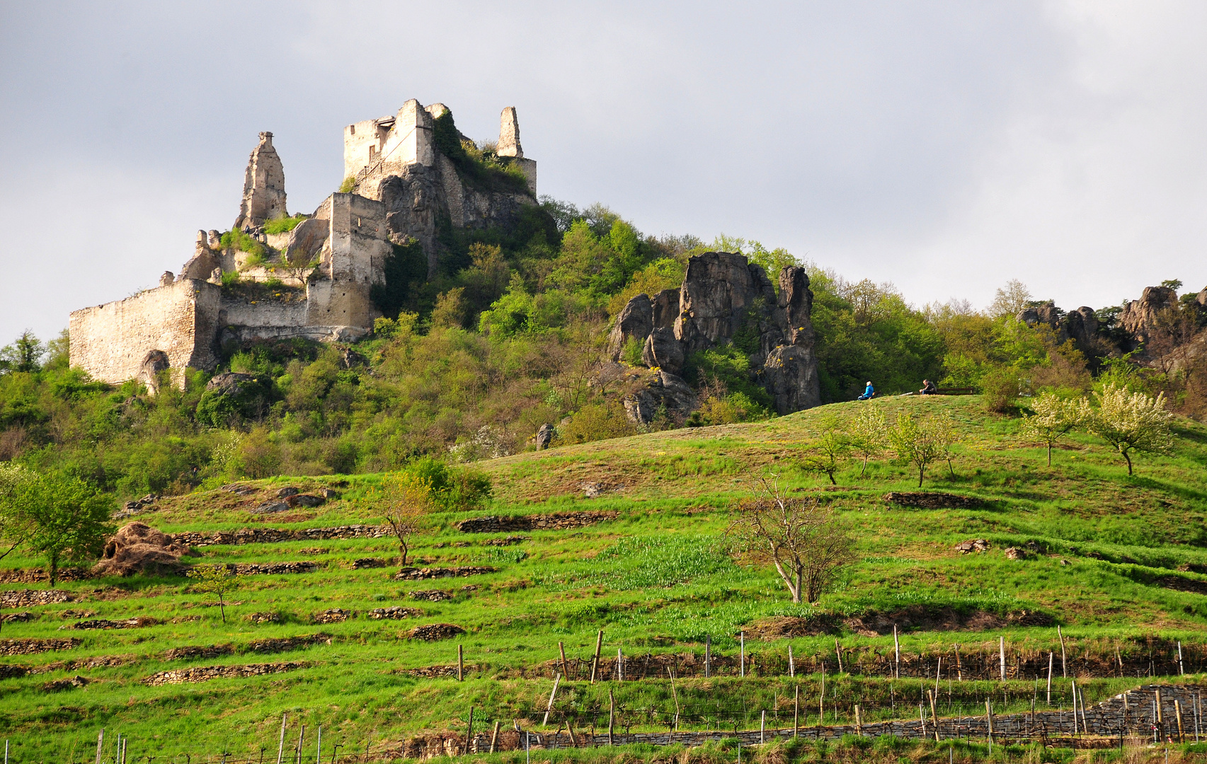 Junges Grün u. alte Mauern 