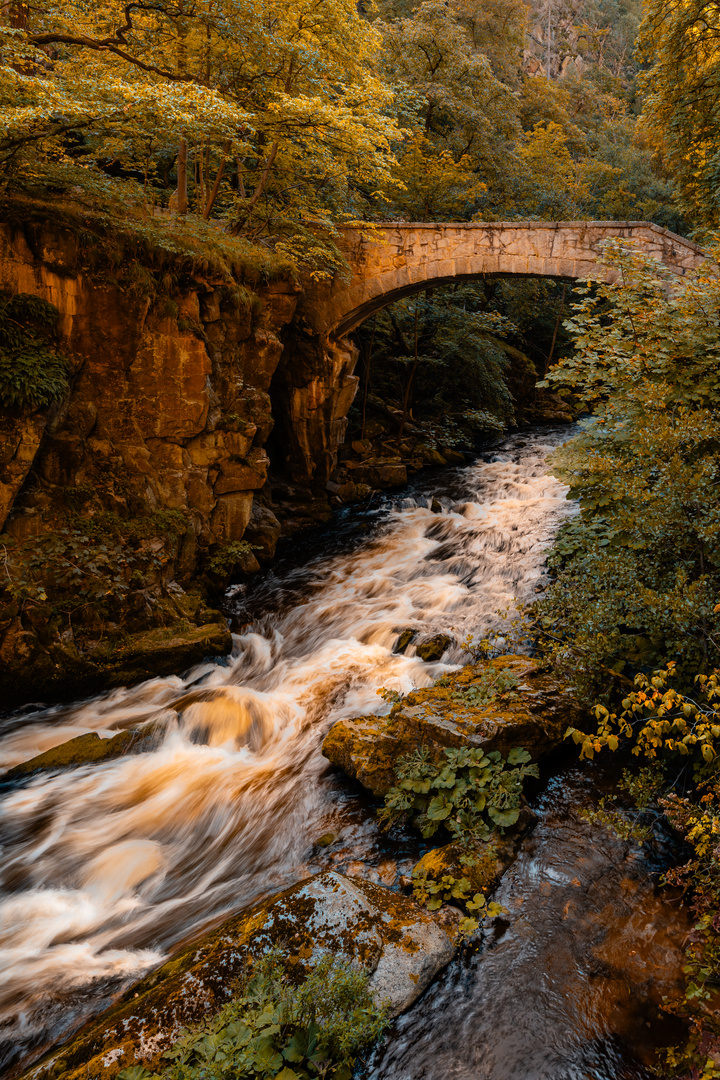 Jungfernbrücke - Bodetal