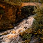 Jungfernbrücke - Bodetal