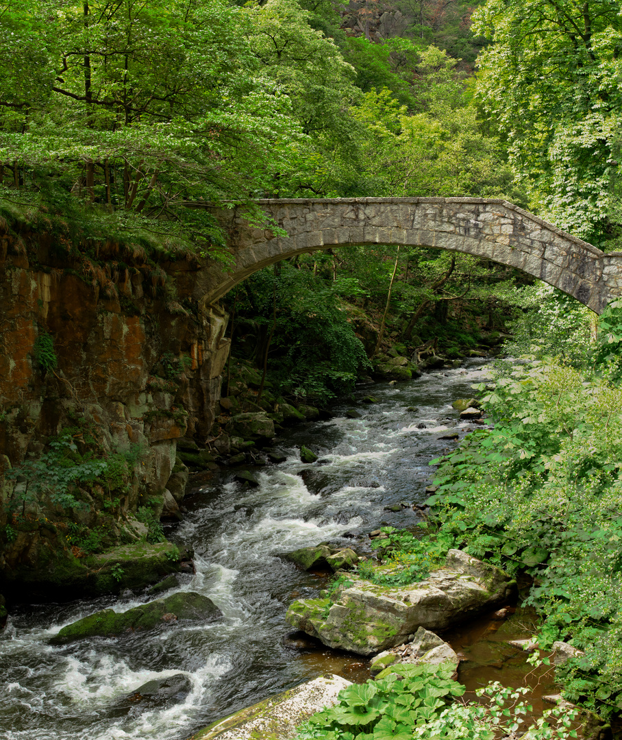 Jungfernbrücke im Bodetal