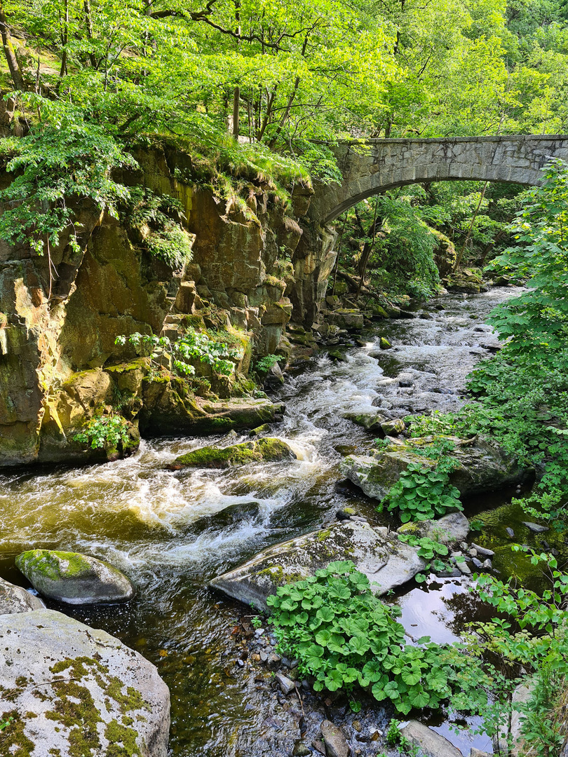 Jungfernbrücke im Bodetal, Thale