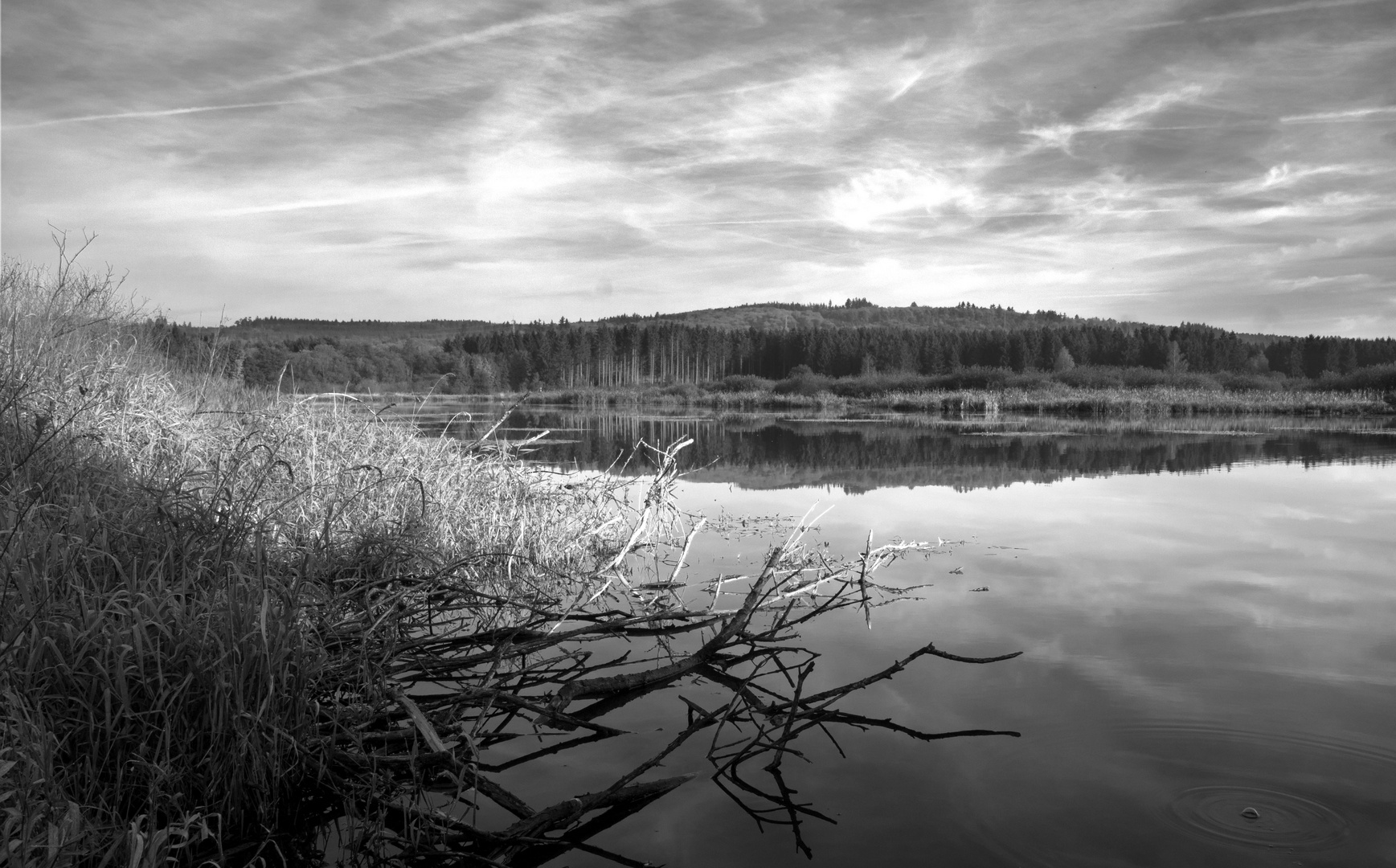 Jungfernweiher Ulmen / Eifel