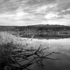 Jungfernweiher Ulmen / Eifel