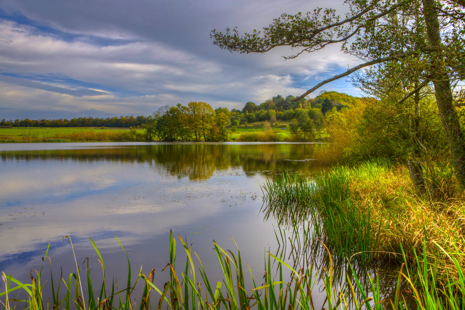 Jungfernweiher Ulmen im Herbst